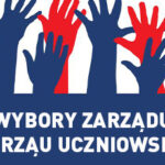 wybory do samorządu