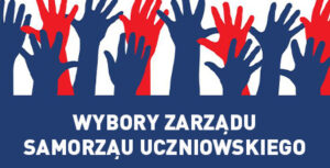 wybory do samorządu